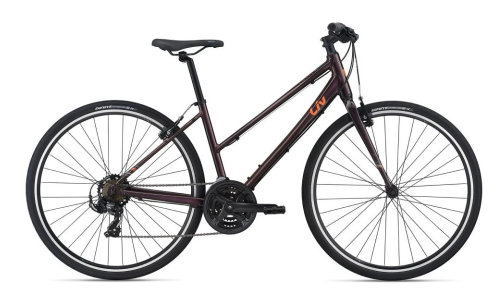 Ladies Adult Bike