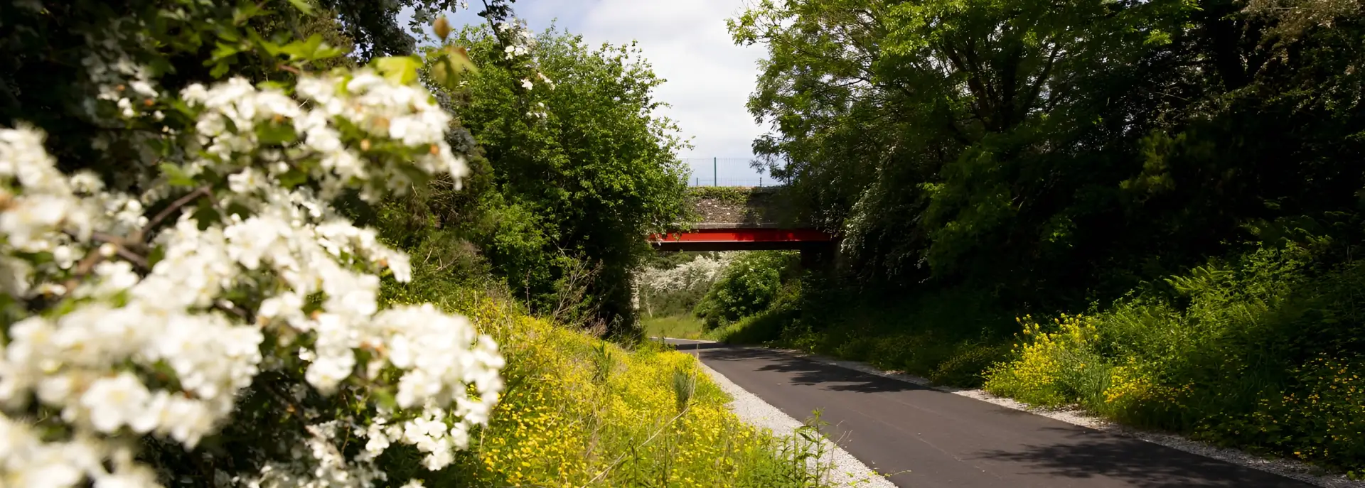 Routes banner